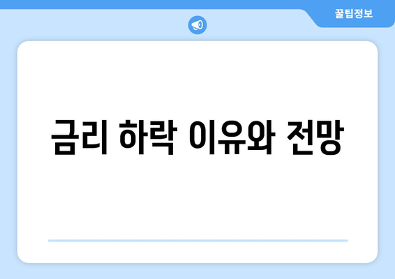 금리 하락 이유와 전망