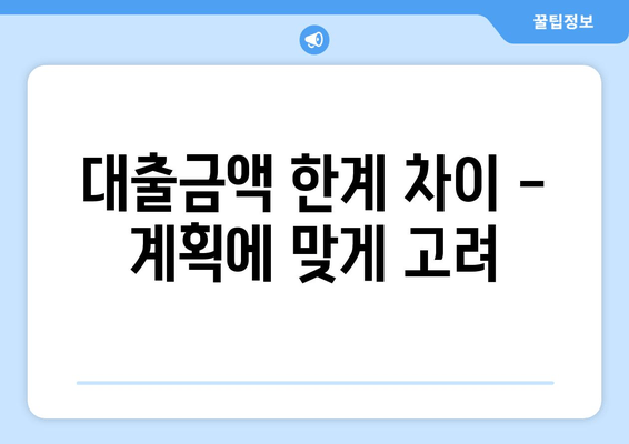 대출금액 한계 차이 - 계획에 맞게 고려