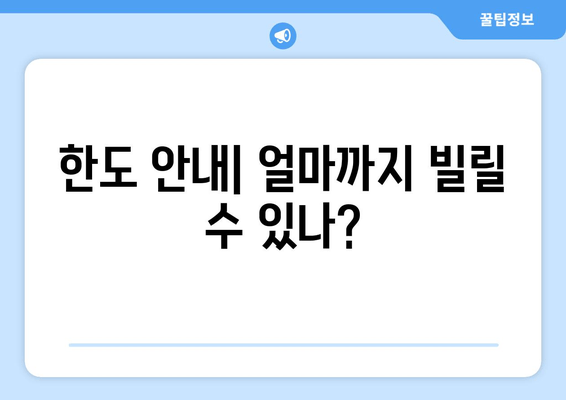 한도 안내| 얼마까지 빌릴 수 있나?