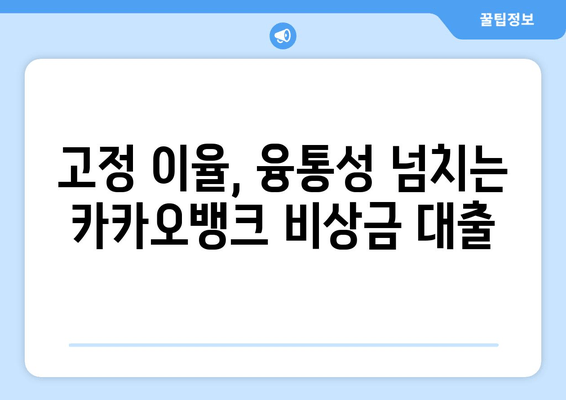 고정 이율, 융통성 넘치는 카카오뱅크 비상금 대출