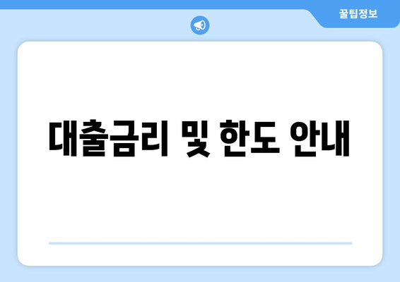 대출금리 및 한도 안내