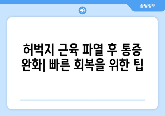 허벅지 근육 파열| 원인, 증상, 그리고 효과적인 회복 방법 | 운동 부상, 재활, 통증 완화