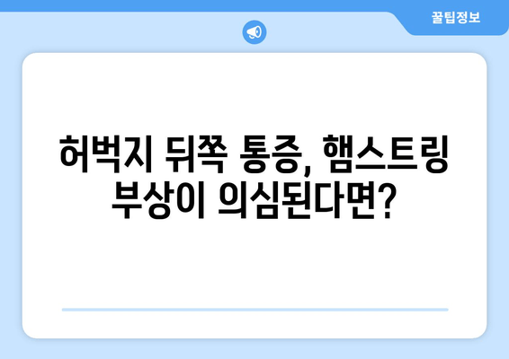 허벅지 통증의 원인, 앞쪽과 뒤쪽 부위별 차이점 알아보기 | 허벅지 통증, 근육 통증, 운동 부상, 통증 해결 팁