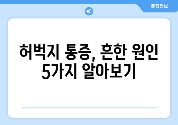 허벅지 통증의 원인과 빠른 회복을 위한  5가지 해결책 | 허벅지 통증, 원인, 회복, 운동, 스트레칭