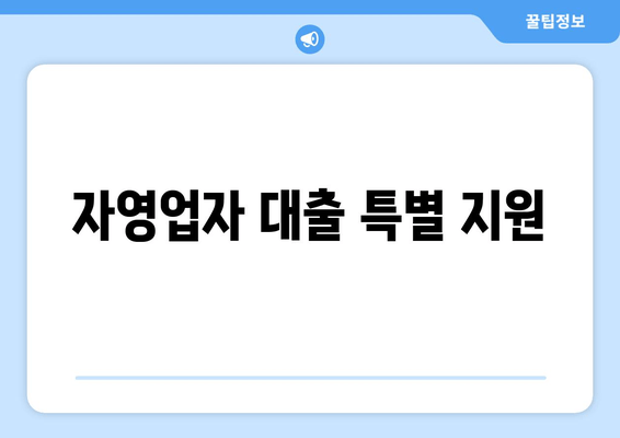 자영업자 대출 특별 지원