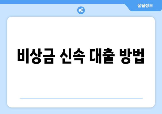 비상금 신속 대출 방법