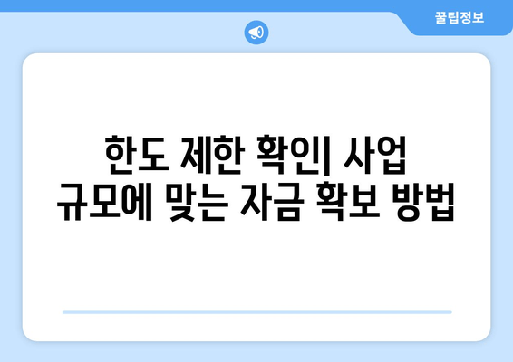 한도 제한 확인| 사업 규모에 맞는 자금 확보 방법