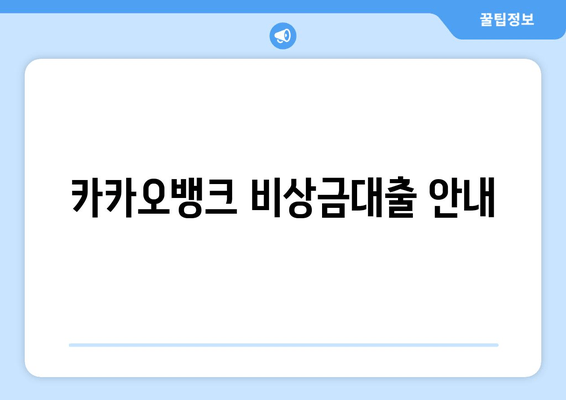 카카오뱅크 비상금대출 안내