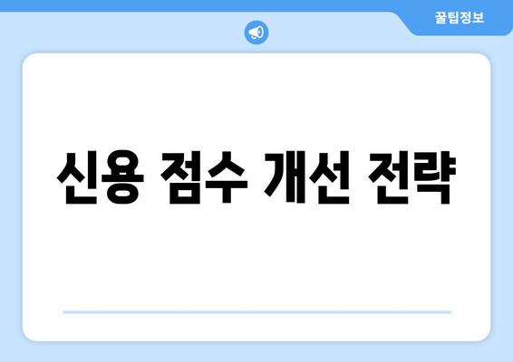 신용 점수 개선 전략