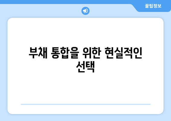 부채 통합을 위한 현실적인 선택