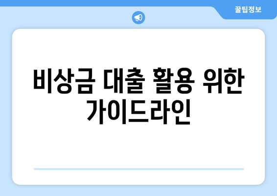 비상금 대출 활용 위한 가이드라인