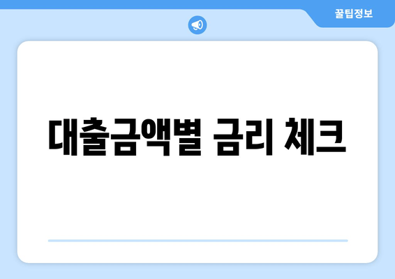 대출금액별 금리 체크