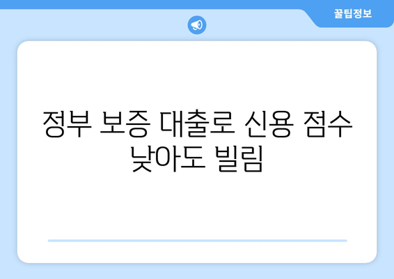 정부 보증 대출로 신용 점수 낮아도 빌림