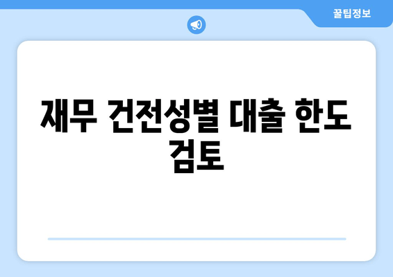 재무 건전성별 대출 한도 검토