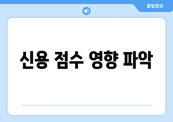 신용 점수 영향 파악