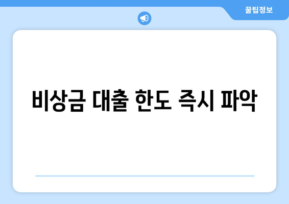 비상금 대출 한도 즉시 파악