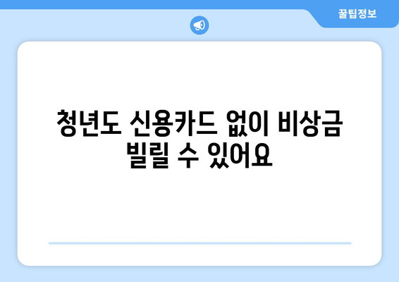 청년도 신용카드 없이 비상금 빌릴 수 있어요