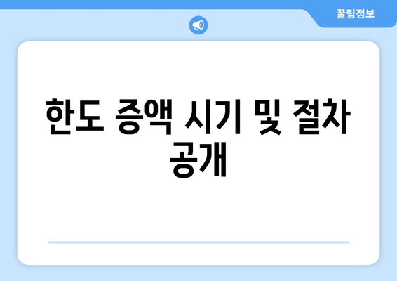 한도 증액 시기 및 절차 공개