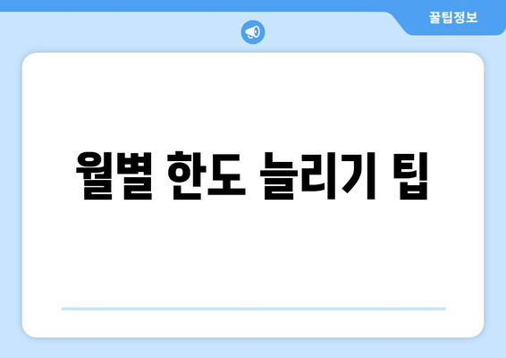 월별 한도 늘리기 팁