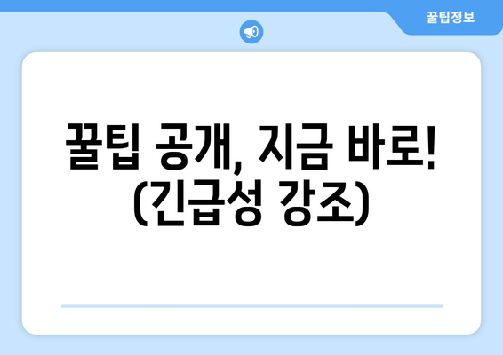 꿀팁 공개, 지금 바로! (긴급성 강조)