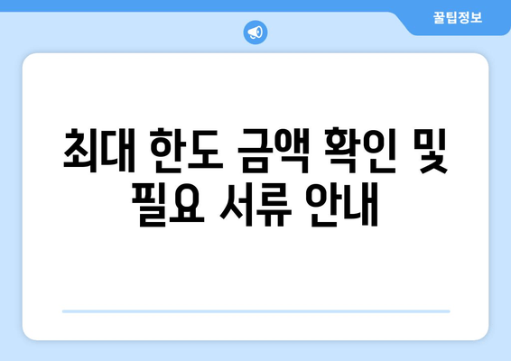 최대 한도 금액 확인 및 필요 서류 안내