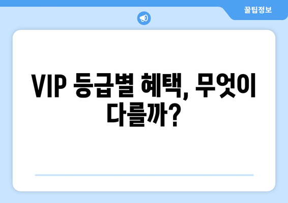 VIP 등급별 혜택, 무엇이 다를까?