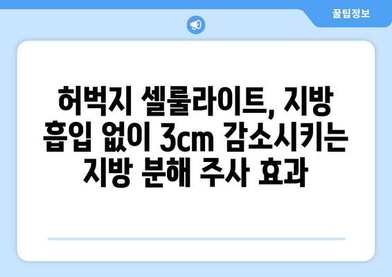 허벅지 셀룰라이트, 지방 흡입 없이 3cm 감소시키는 지방 분해 주사 효과 | 셀룰라이트 제거, 허벅지 둘레 감소, 비용, 후기