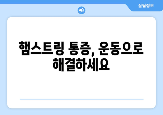 허벅지 뒤쪽 통증, 놓치지 말아야 할 원인과 치료법 | 햄스트링 통증, 운동, 스트레칭, 재활