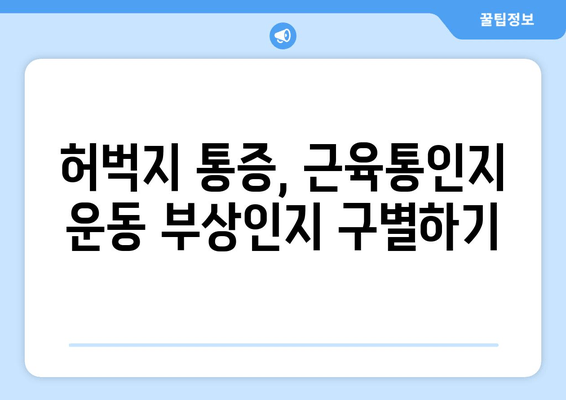 허벅지 통증의 비밀| 앞쪽, 뒤쪽 부위별 원인 분석 및 해결 가이드 | 허벅지 통증, 근육통, 운동 부상, 통증 완화