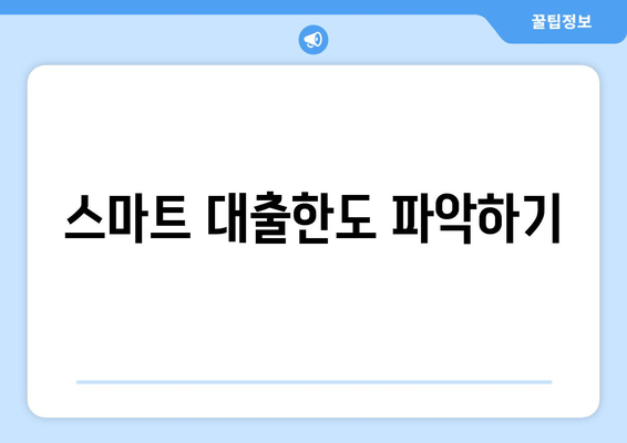 스마트 대출한도 파악하기