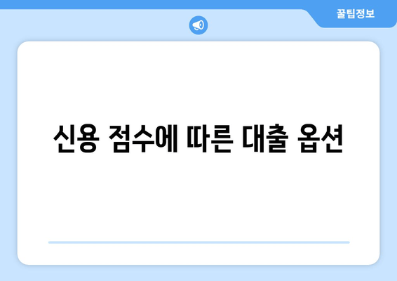 신용 점수에 따른 대출 옵션