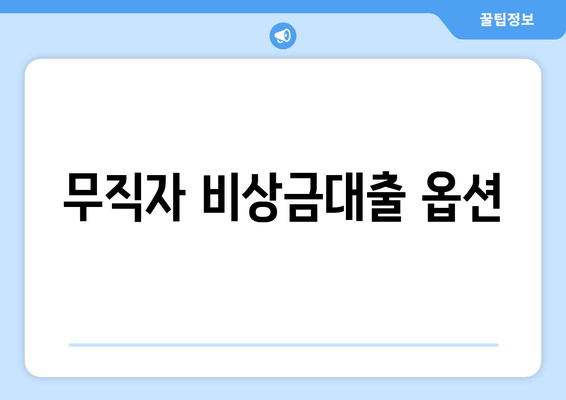 무직자 비상금대출 옵션