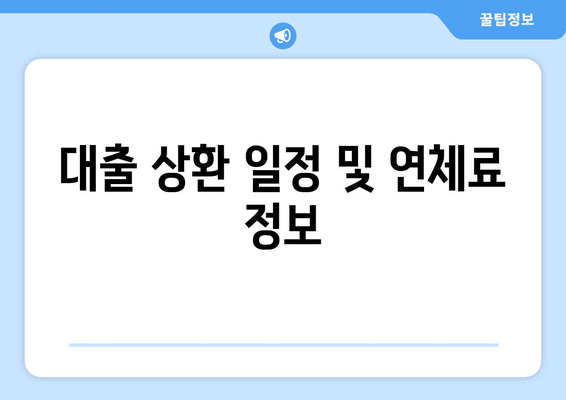 대출 상환 일정 및 연체료 정보