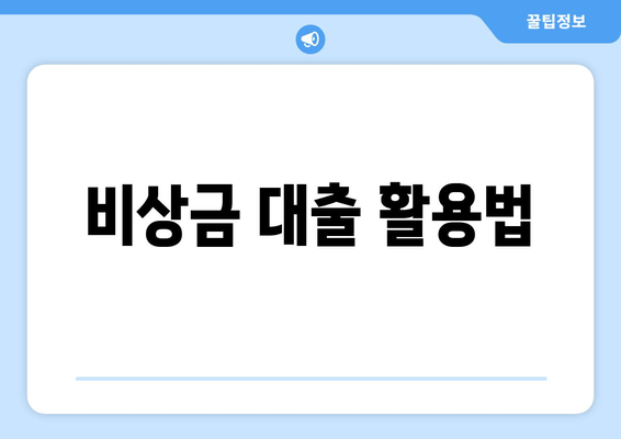 비상금 대출 활용법