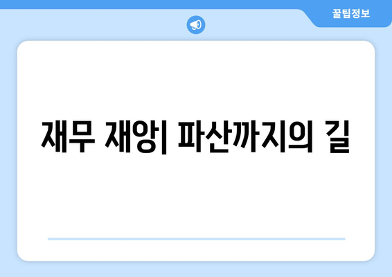 재무 재앙| 파산까지의 길