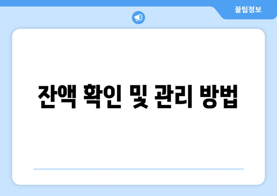 잔액 확인 및 관리 방법