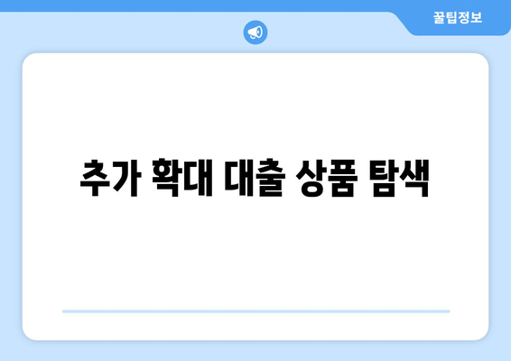 추가 확대 대출 상품 탐색