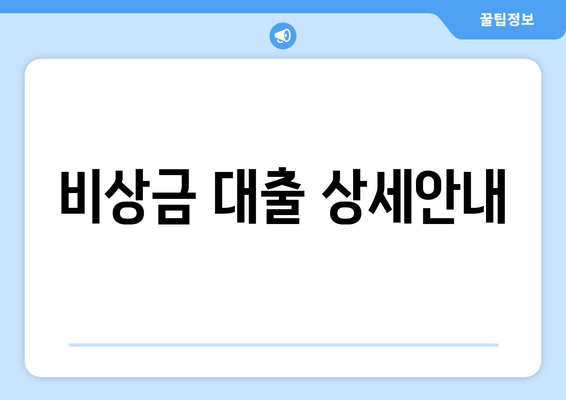 비상금 대출 상세안내