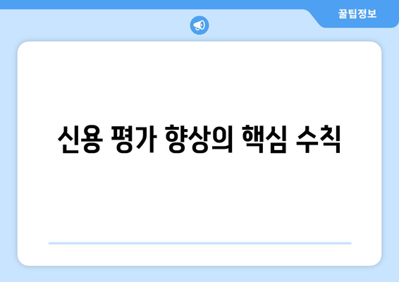 신용 평가 향상의 핵심 수칙