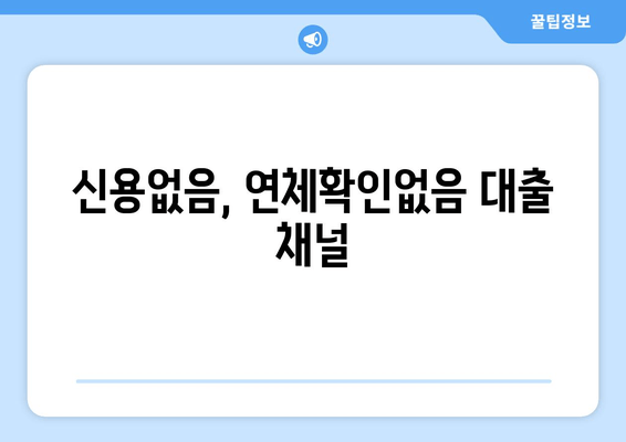 신용없음, 연체확인없음 대출 채널