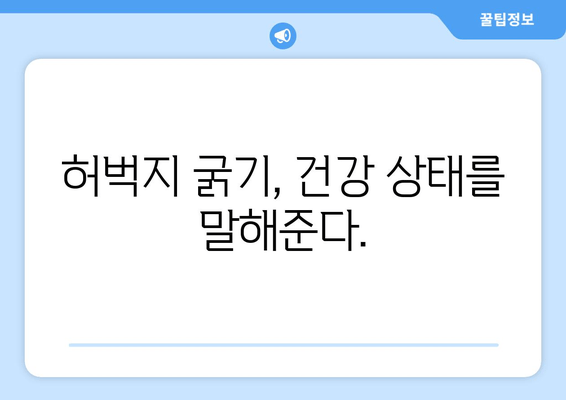 허벅지 굵기의 숨겨진 진실| 당신의 허벅지가 말해주는 건강 신호 | 허벅지, 건강, 체형, 몸매, 비율