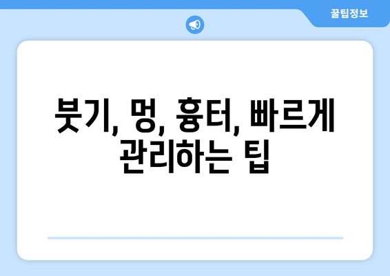 허벅지 지방 흡입 후 여름철 압박복 & 흉터 관리 가이드 | 붓기, 멍, 회복, 관리 팁