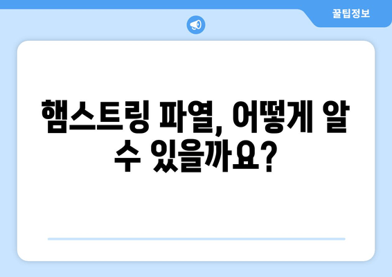 허벅지 햄스트링 통증과 파열| 증상, 원인, 운동 & 스트레칭 치료 | 햄스트링 부상, 근육 통증, 재활 운동