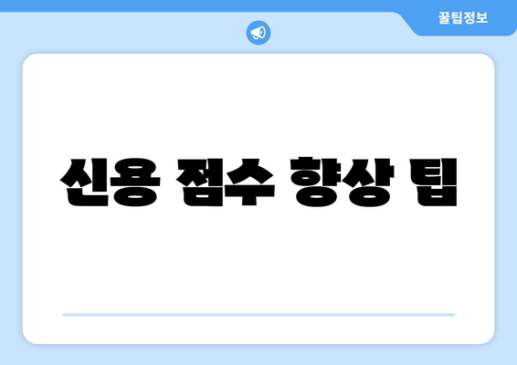 신용 점수 향상 팁