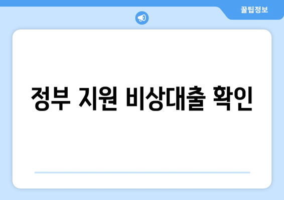 정부 지원 비상대출 확인