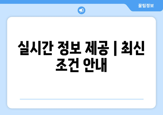 실시간 정보 제공 | 최신 조건 안내