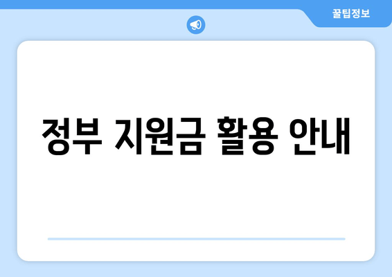 정부 지원금 활용 안내