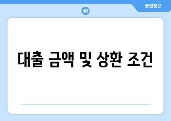 대출 금액 및 상환 조건