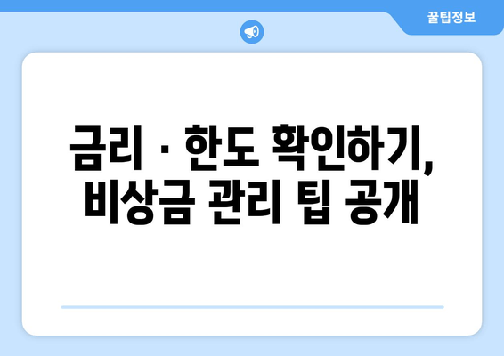 금리 · 한도 확인하기, 비상금 관리 팁 공개