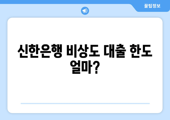 신한은행 비상도 대출 한도 얼마?